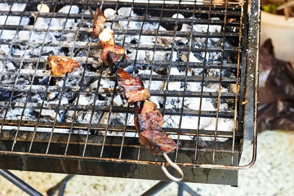 Assar Carne Suculenta Bife Com Especiarias Ervas Queima Carvão Fogo — Fotografia de Stock