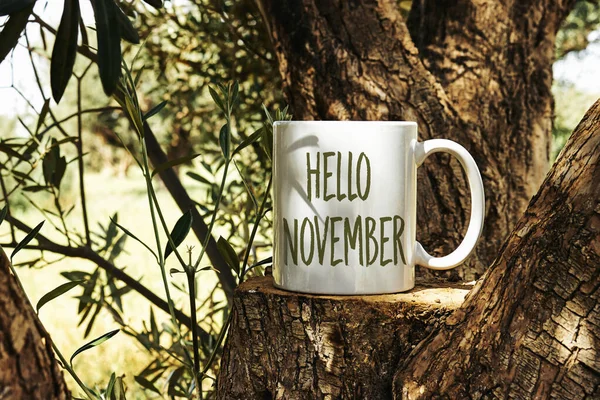 white cup of coffee with hello November text on Tree trunk wood Podium through olives tree