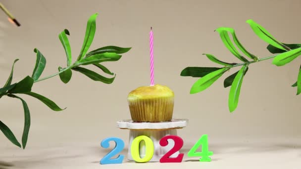 快乐新年2024的概念 手点蜡烛生日蛋糕装饰红豆杉植物 — 图库视频影像