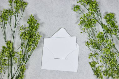 Davetiye ya da tebrik kartı modeli. Taze yeşil çingene ve grunge gri arka planda zarf.