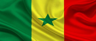 Senegal Ulusal Bayrağı Tekstil Kumaşı