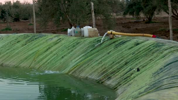 Πλαστική Λεκάνη Κατακράτησης Νερού Για Άρδευση Στη Γεωργία Νερό Που — Αρχείο Βίντεο