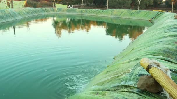 Cuenca Retención Agua Plástico Para Riego Agricultura Agua Que Sale — Vídeo de stock