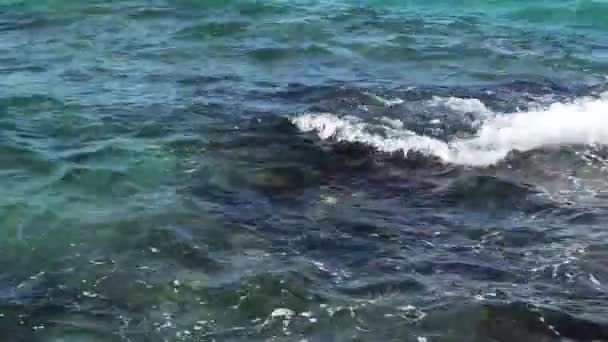 Óceán Hullámai Szikláknak Csapódnak — Stock videók
