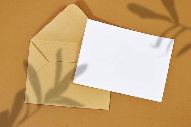 Boş tebrik kartı, broşür ya da davetiye kopyası ve kahverengi zarfta ruskus bitkisi gölgesi, sevgililer günü ya da kahverengi arka planda kadınlar günü kalbi var.