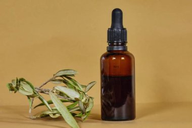 Boş kehribar bardakları pipetli ve zeytin yapraklı gerekli yağ şişeleri. Doğal kozmetik ile cilt bakımı kavramı