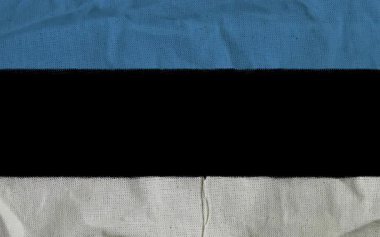 Mavi, Siyah ve Beyaz Yatay Çizgili Estonya Ulusal Bayrağı