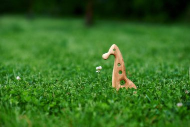 Yeşil arka planda ceviz ağacından yapılmış doğal ahşap oyuncak. Yüksek kalite fotoğraf