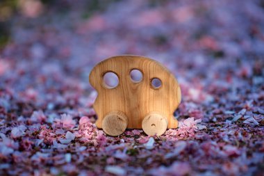 Yeşil arka planda ceviz ağacından yapılmış doğal ahşap oyuncak. Yüksek kalite fotoğraf