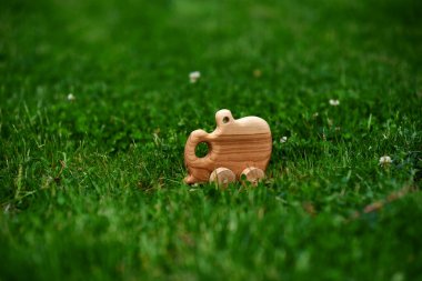 Yeşil arka planda ceviz ağacından yapılmış doğal ahşap oyuncak. Yüksek kalite fotoğraf