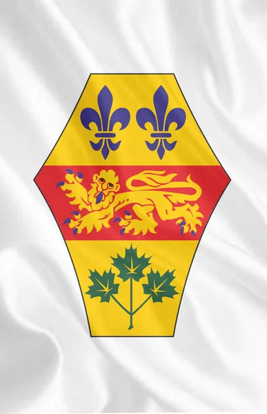 加拿大各省的纹章 高质量的 高质量的照片 — 图库照片