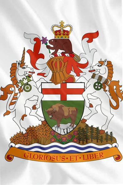 Escudo Armas Las Provincias Canadá Alta Calidad Foto Alta Calidad — Foto de Stock