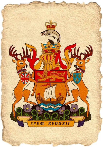 Kabát Kanadských Provincií Pergamenu Vysoké Kvalitě Kvalitní Fotografie — Stock fotografie