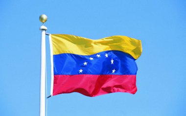 Venezuela 'da. Ülkenin ulusal bayrağı. Yüksek kalitede. Yüksek kaliteli illüstrasyon