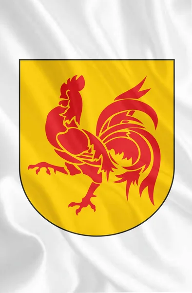 Zbrojní Plášť Belgického Království Svrchovaná Moc Západní Evropě Vysoká Kvalita — Stock fotografie