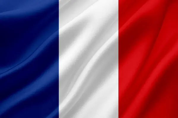 Herb Republiki Francuskiej Jest Krajem Europie Wysoka Jakość — Zdjęcie stockowe