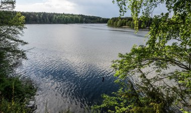 Polonya 'daki Yapay Koronowo Gölü