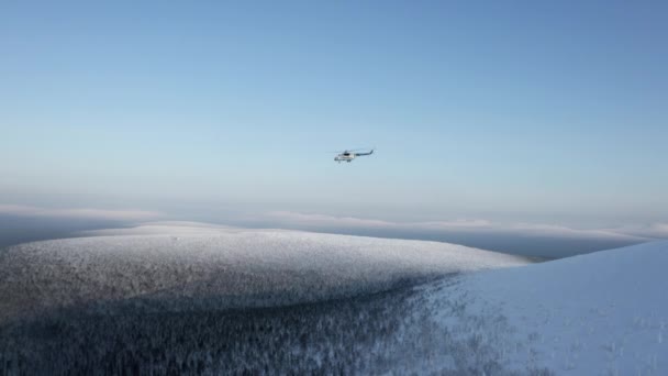 Helicóptero Volando Sobre Bosque Cubierto Nieve Sobre Fondo Azul Clip — Vídeos de Stock