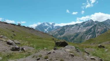 Alp dağlarının ve yeşil otların havadan çekilmiş görüntüleri. Şarjör. Dağlar, tepeler, uçurumlar, kayalar doğal manzara