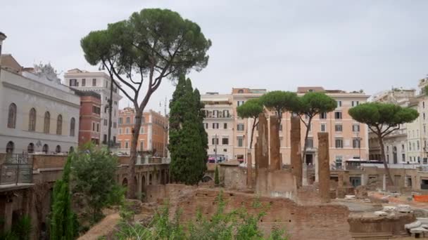 ローマの古代の広場は 過去の遺物を持っています アクション 古代の建物に囲まれた町の広場で育つ緑の木 — ストック動画