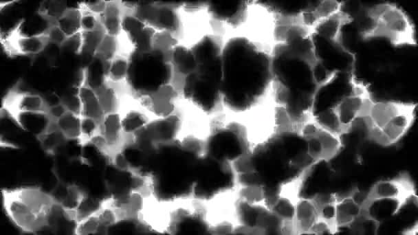 单色白神经元的运动 在黑色背景下工作的人脑 — 图库视频影像