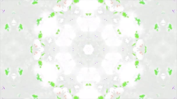 フローラルケルドーシック模様のカラフルなアニメーション ムーブメント 白い背景のサイケデリックなパターンのカラフルな花柄 カラフルなパターンと白い背景を持つカレイドスコープ — ストック動画