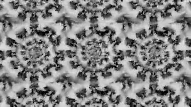 Modèle Kaléidoscopique Psychédélique Motion Silhouettes Rondes Fleurs Mandalas Formes Insolites — Video
