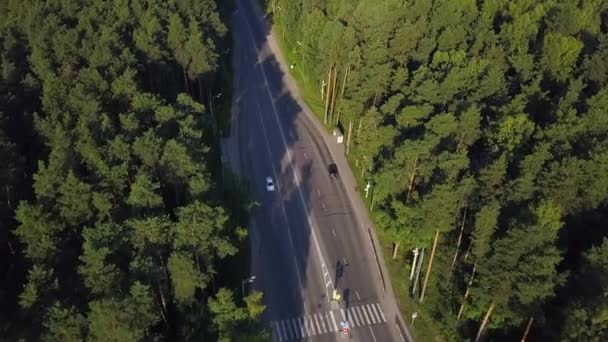 Endüstriyel Bölgeye Giden Beton Yolun Havadan Görüntüsü Şarjör Yeşil Yaz — Stok video