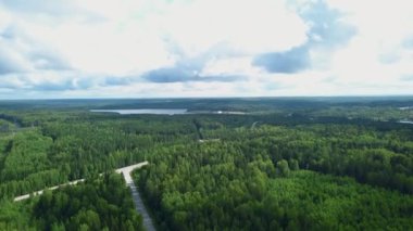 Tepedeki orman dağlarından bak. Şarjör. Arabaların sürdüğü bir yol ile çevrili büyük bir orman. Yüksek kalite 4k görüntü