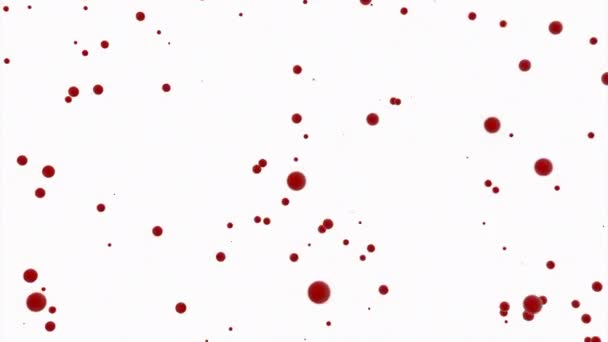 Bolhas Coloridas Abstratas Fluindo Sobre Fundo Bege Desenho Círculos Minúsculos — Vídeo de Stock