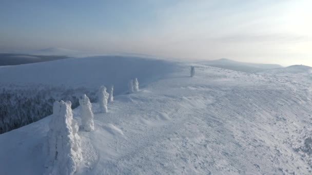 Landschap Bij Temperaturen Onder Nul Van Bovenaf Clip Snowy Lege — Stockvideo