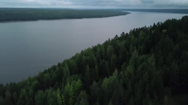 Серый Пейзаж Лесом Туманом Темный Вид Реку Лесу Зелеными Высокими — стоковое видео