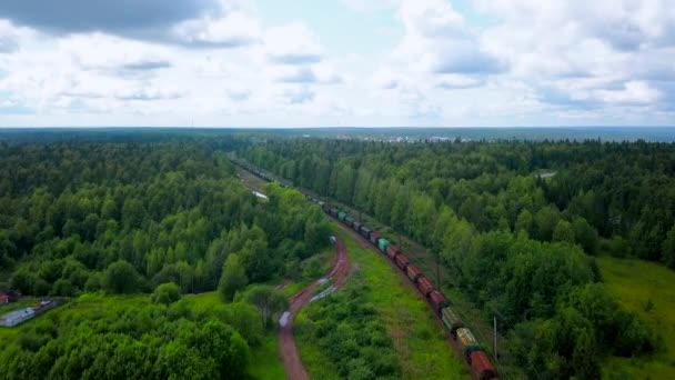 沿着绿色的夏树 空中俯瞰着一列长途移动的货运列车 沿着松树林伸展的铁路 — 图库视频影像