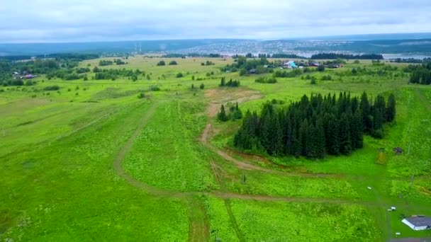 Letecký Pohled Zelenou Travnatou Louku Borovicemi Klip Létání Nad Nekonečným — Stock video