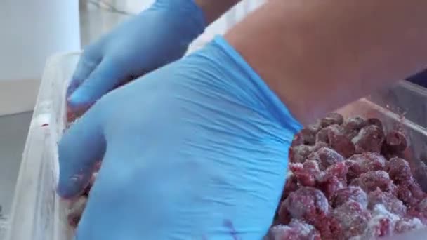 工业搅拌冰冻浆果的特写镜头 戴着手套的厨师在搅拌冰冻的浆果 樱桃与糖混合制成甜点 — 图库视频影像
