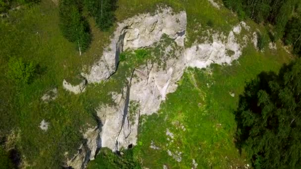 Вид Воздуха Летние Скалы Клип Летающие Над Зеленым Лугом Соснами — стоковое видео