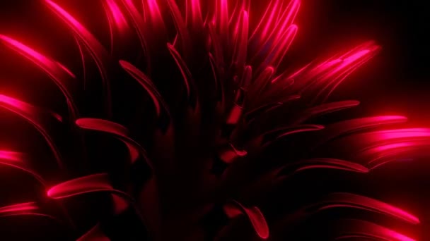 Luces Rojas Neón Diseño Fondo Negro Sobre Que Brilla Rojo — Vídeos de Stock