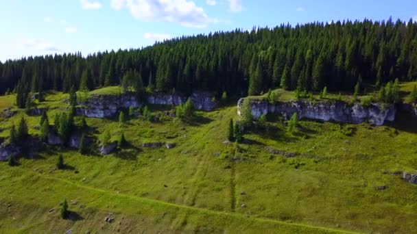 Aerial View Rock Cliff Pine Trees Clip Flying Green Meadows — Stock Video