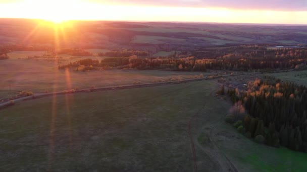 Pandangan Udara Dari Lapangan Hijau Pohon Dan Langit Matahari Terbenam — Stok Video