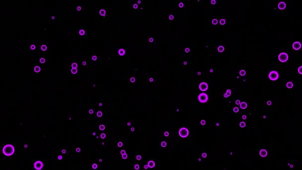 Чёрный Фон Дизайн Фиолетовые Маленькие Синие Круги Анимации Быстро Поднимаются — стоковое видео