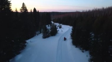 Çam ağacı ormanı boyunca giden bir kar aracının hava görüntüsü. Şarjör. Günbatımı gökyüzü ve kırsal karla kaplı yol
