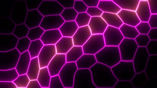 Liquid Pattern Neon Hexagons Motion Neon Lines Moving Pattern Hexagons — Stock Video