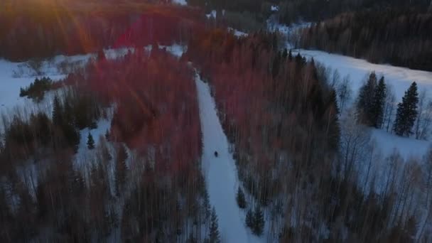 Χιονισμένο Γυμνό Δάσος Κλίμακα Ελικόπτερο Άποψη Του Πράσινου Σχεδόν Φυλλώδη — Αρχείο Βίντεο