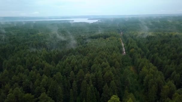 Зеленые Поля Летними Деревьями Clip Bird Вид Огромные Леса Поля — стоковое видео
