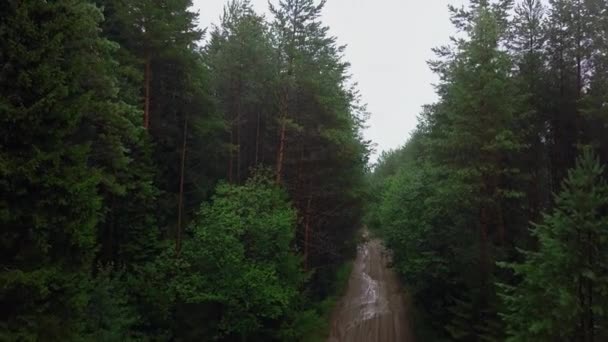 森林中央的一条狭窄的土路 从绿树的高处望去 雨后的小路很窄 高质量的4K镜头 — 图库视频影像