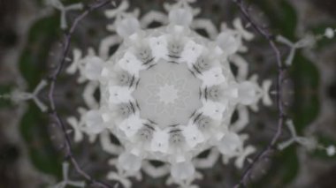 Beyaz soyut. Başla. İncelen beyaz desenler daha sonra geriye doğru genişler. Yüksek kalite 4k görüntü