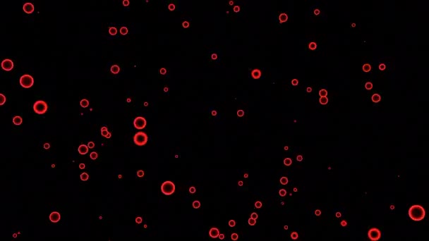 Flux Molécules Ponctuelles Sur Fond Noir Design Points Montant Courant — Video