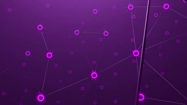 Фиолетовый Черный Фон Дизайн Линии Соединенные Вместе Кругами Образующими Сети — стоковое видео