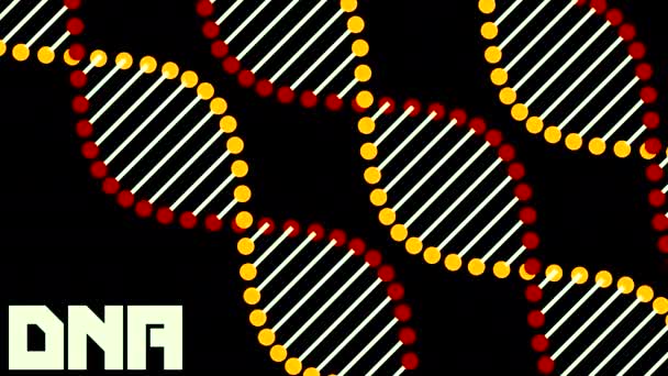 Adn Estructura Humana Diseño Espiral Colorido Esquemático Del Adn Ciencia — Vídeo de stock