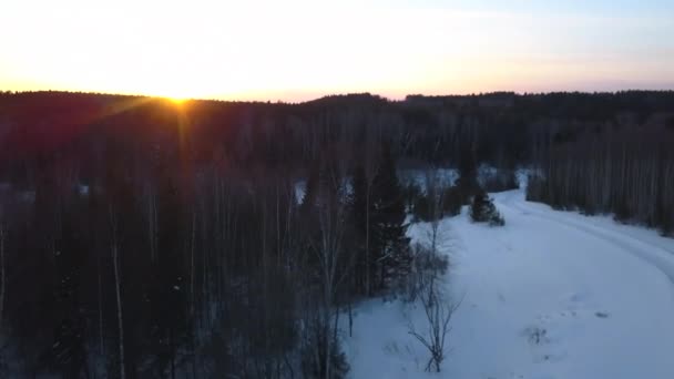 Fényes Napos Táj Havas Talajjal Fenyőerdővel Csípés Légi Kilátás Napfelkelte — Stock videók